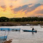 دریاچه انگشتی نیویورک