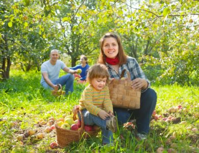 آب و هوای آمریکا